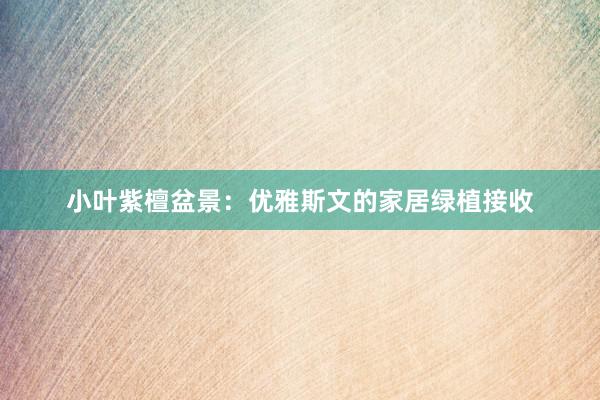 小叶紫檀盆景：优雅斯文的家居绿植接收