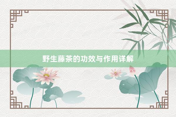 野生藤茶的功效与作用详解