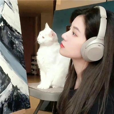 龙之舞